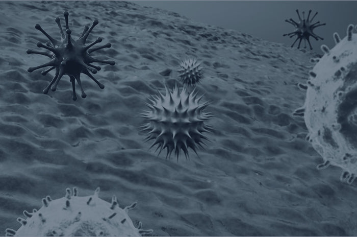 Detroit R&D Featured On Discovery Channel "Innovations" TV Show