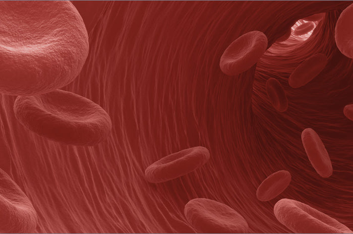 BioTarget™ Hypertension ELISA